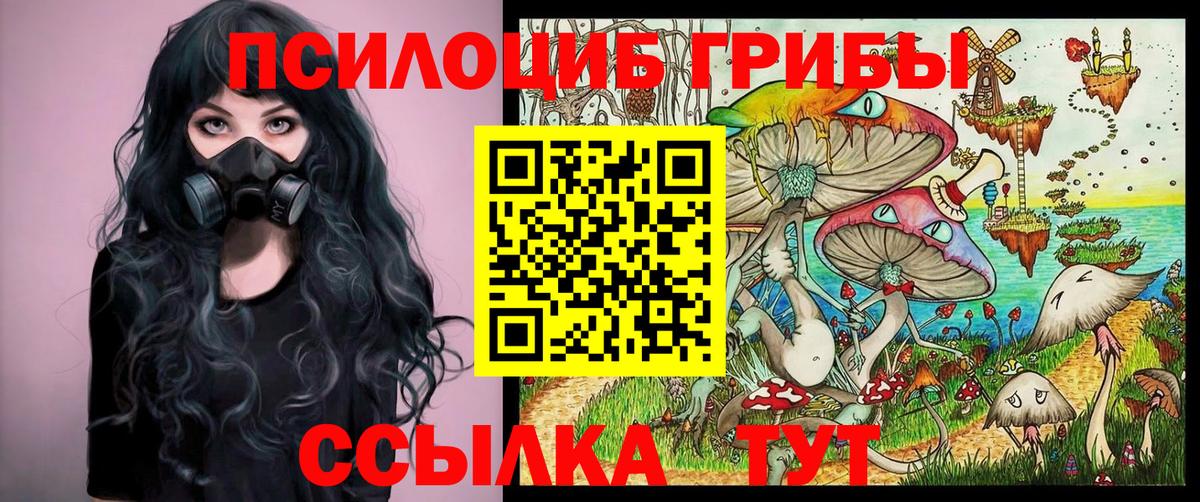 Ленинск-Кузнецкий  Псилоцибиновые грибы Psilocybine cubensis  Вход с VPN  Галлюциногенные грибы ЛСД 